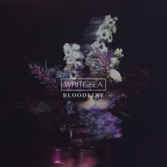 White Sea - Bloodline