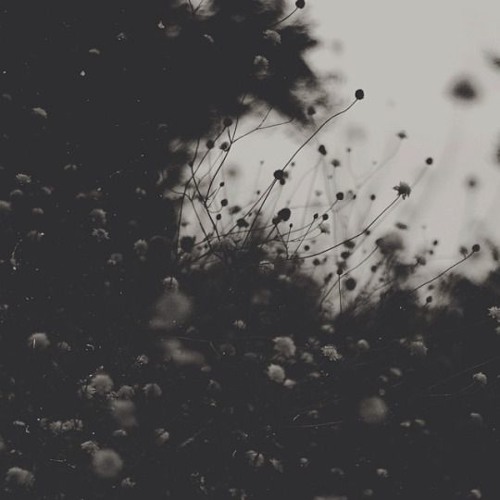 Sau cơn mưa - Trung Quân Idol [cover]