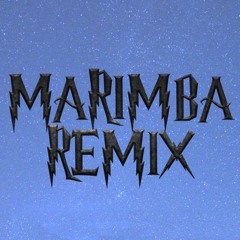Harry Potter (Marimba Remix)