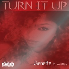 TURN IT UP (EXPLICIT)
