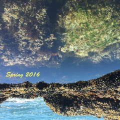 Spring QTR 2016