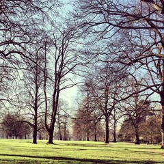 01 Fake Plastic Trees