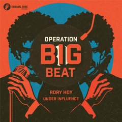 Rhythm Section (PREVIEW) Supported by Fatboy Slim!
