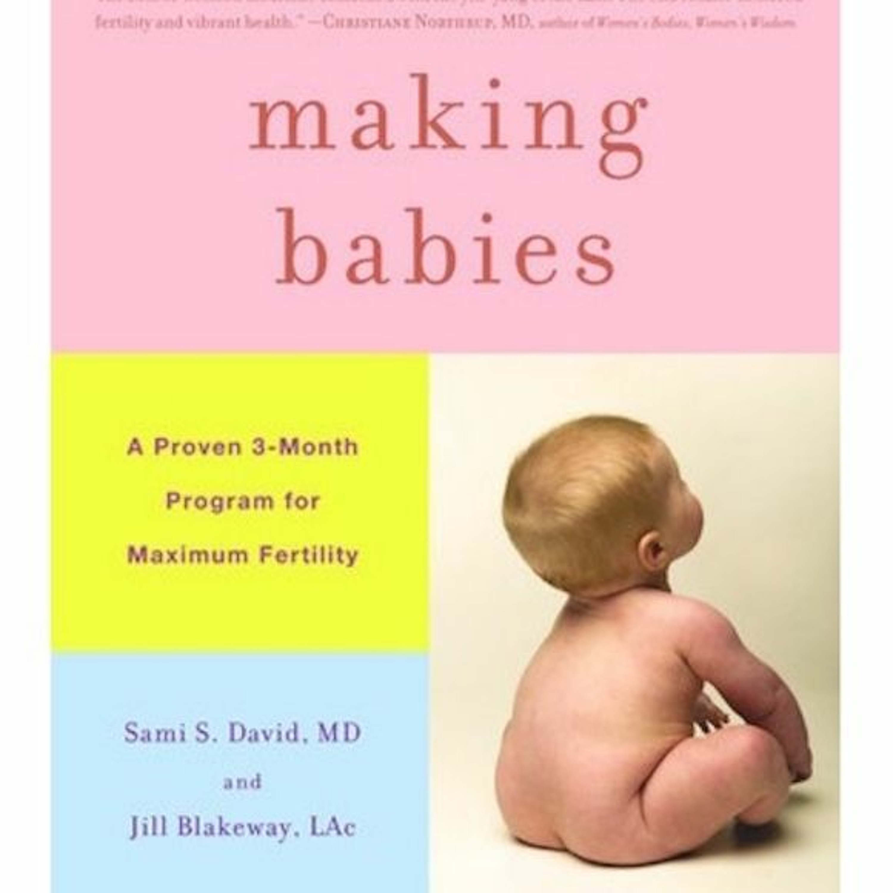 Making Babies:  A 3-month program to maximize fertility with Jill Blakeway, L.Ac. episode artwork
