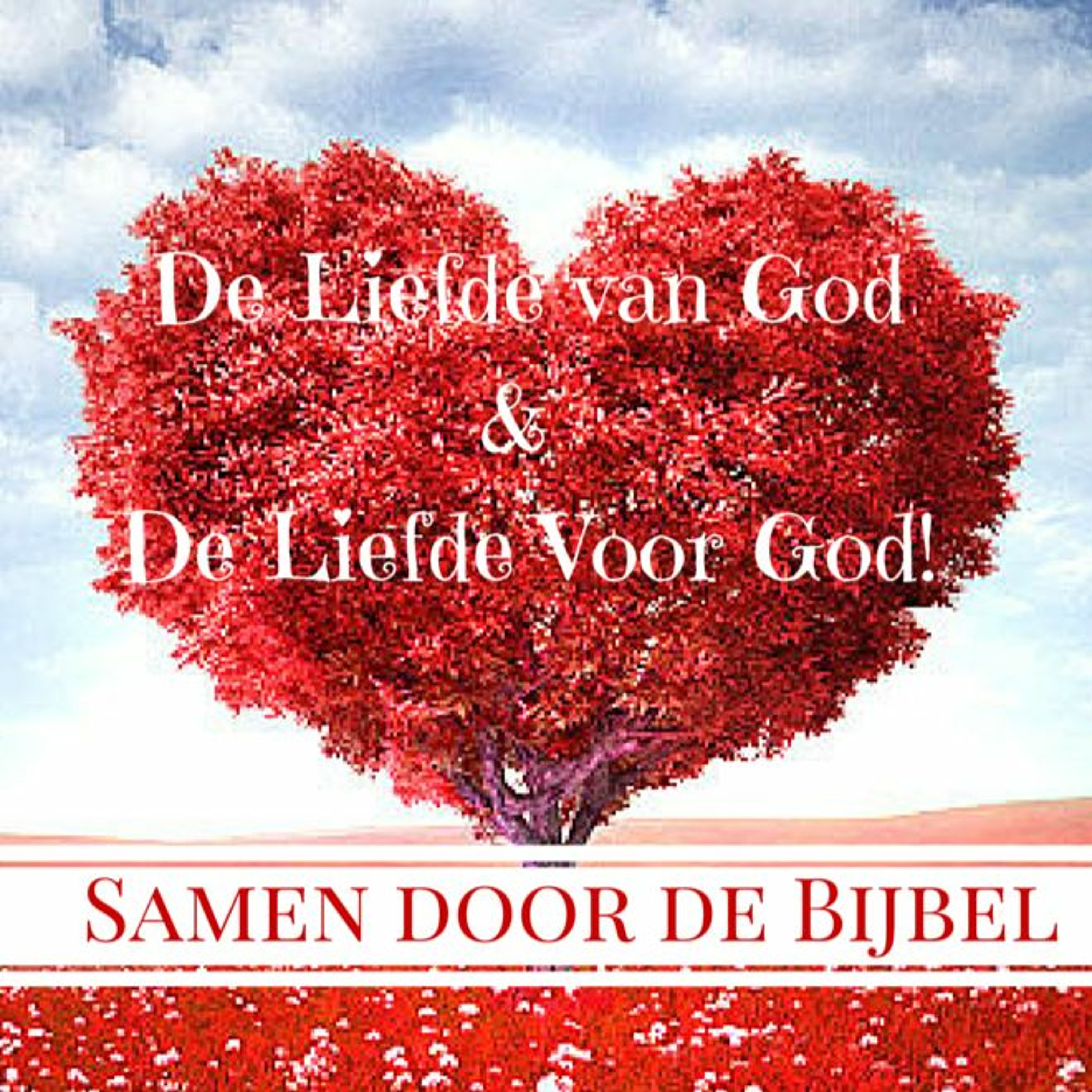 Samen Door De Bijbel