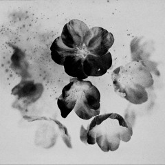 (re)offender - The Only One