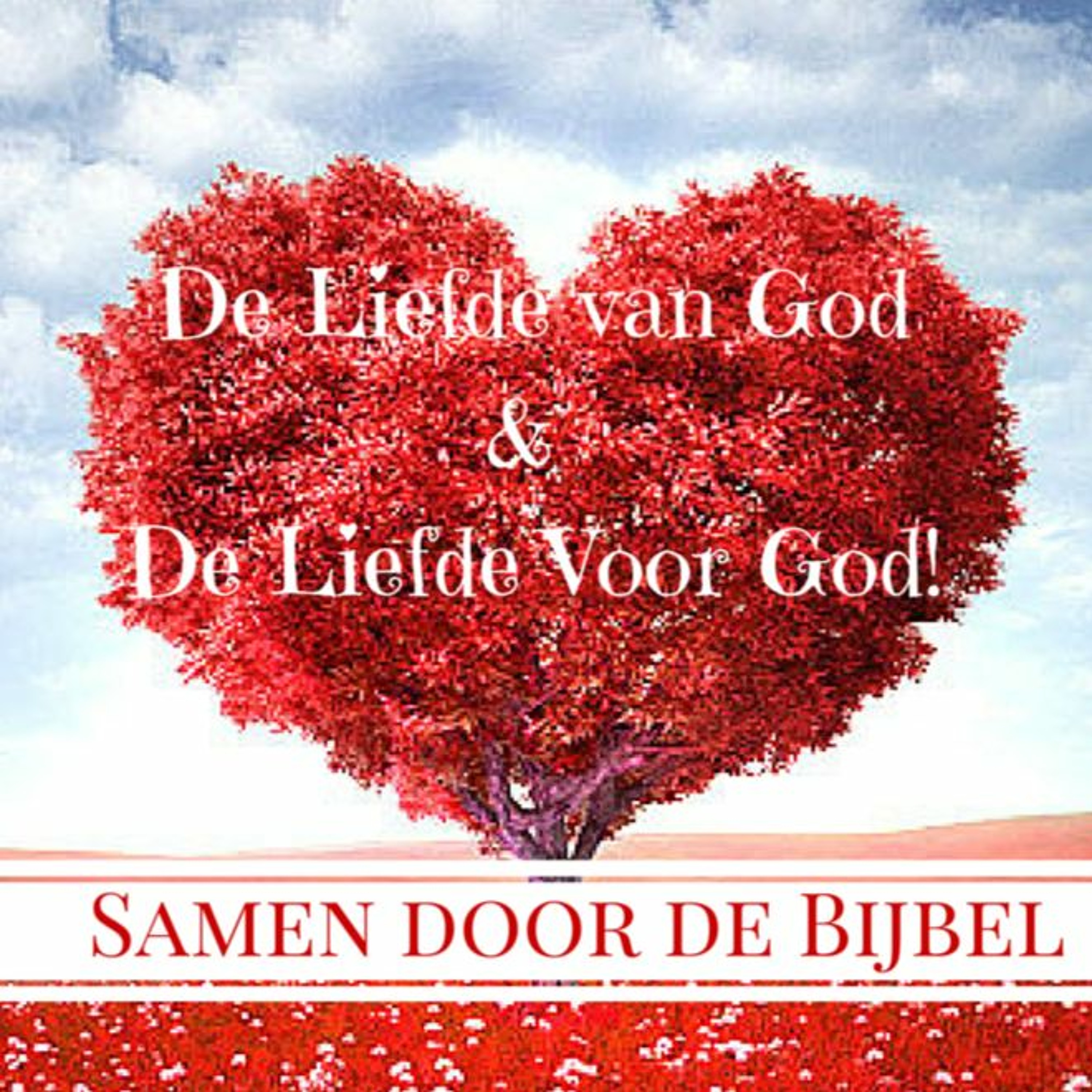 Samen Door De Bijbel