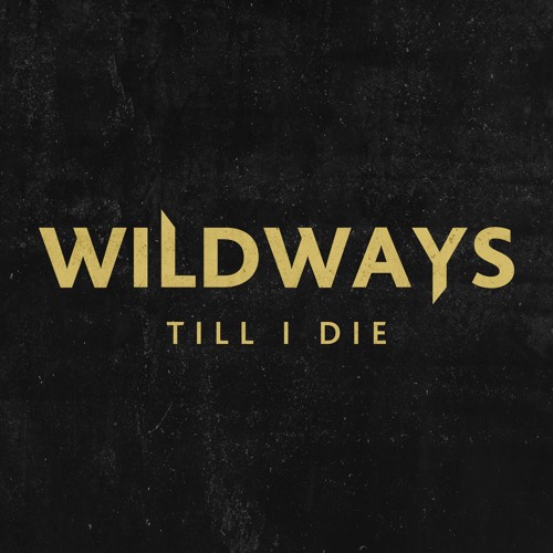 Stream Till I DIe (MGK Cover) by Wildways | Listen online for free on  SoundCloud