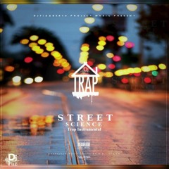 IX. DjFizzBeats - Street Science (Trap Instrumental)