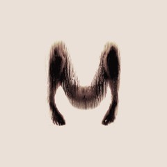 Somethin Bout Dreams - KaY Willz