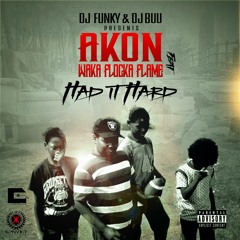 DJ Funky & DJ Buu - Had It Hard (feat. Akon & Waka Flocka Flame)