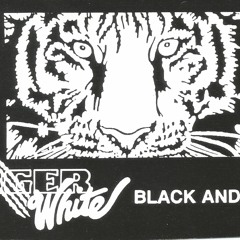 02 Fight The Night (2)