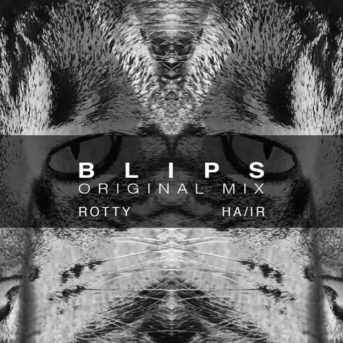 Rotty & Ha/ir - Blips (Original Mix)