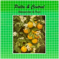 Central - Plan For The Future