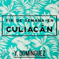 Fin De Semana En Culiacán - Y. Domínguez
