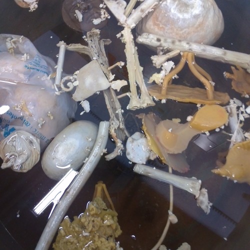 Improvisación No.2 (25.11.2015, Juan & Jo) Edited