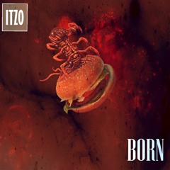 ITZO - We Have Cookies