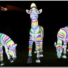 Strange Way Back To Heaven [Instrumental & BgVs].WAV