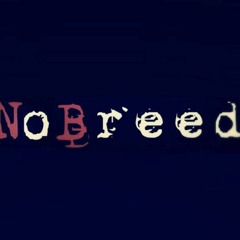 NoBreed - Amy Winehouse- Back To Black