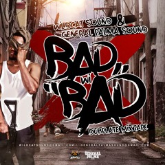 BAD WI BAD - 100% DUBPLATE MIXTAPE [WILDCAT SOUND & GENERAL PALMA]