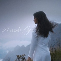 If I Could Fly