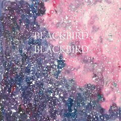 Blackbird Blackbird - Summer Heart - 10 Blurring Lines
