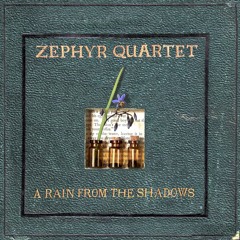 A Rain from the Shadows - Hilary Kleinig