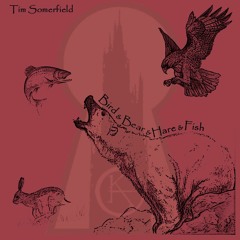 Bird And Bear And Hare And Fish