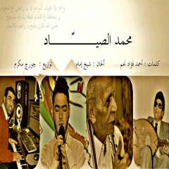 رسالة إلى الحدود - محمد الصيّاد