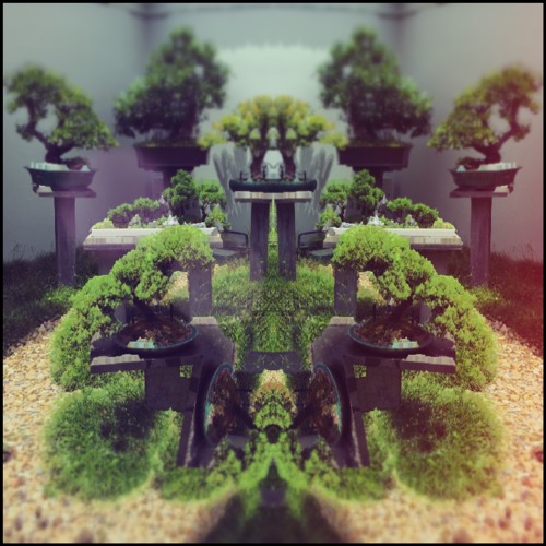 Serenity