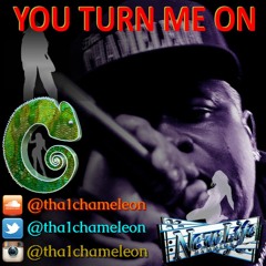 YOU TURN ME ON .... Tha Chameleon