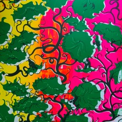 Ali Berger - Eve (clip)