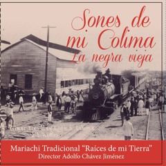 El tubero - Mariachi Tradicional Raíces de mi Tierra