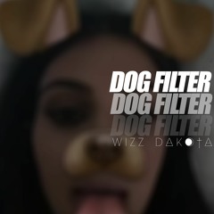 Wizz Dakota - Dog Filter (prod By Wizz Dakota)