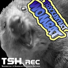 Trockentakt - Wombat (Original Mix)