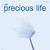 Artwork for AM - Precious Life