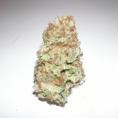 CannaVibes 4202016