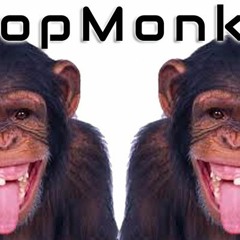 #LoopMonkeys - Feel Up 124BPM C# 128kbps DAY4