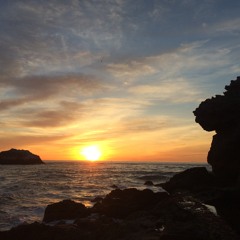 R E S T (PROJECT COMING SOON)