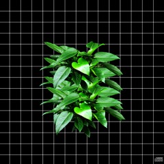 vaporwave