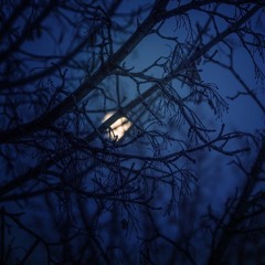 Blue Night Crawl, for Piano (2012)