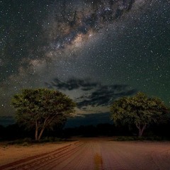 Kalahari by Night