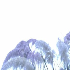 We'll Take Care Of YOu