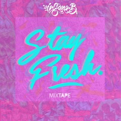 Dj Insane B - Stay Fresh Mixtape