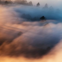 Fog (Edit 6)