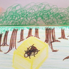 Butter Flies Forest