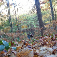 If You're Out There Somewhere