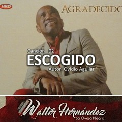 Walter Hernández - Escogido - Autor: Ovidio Aguilar