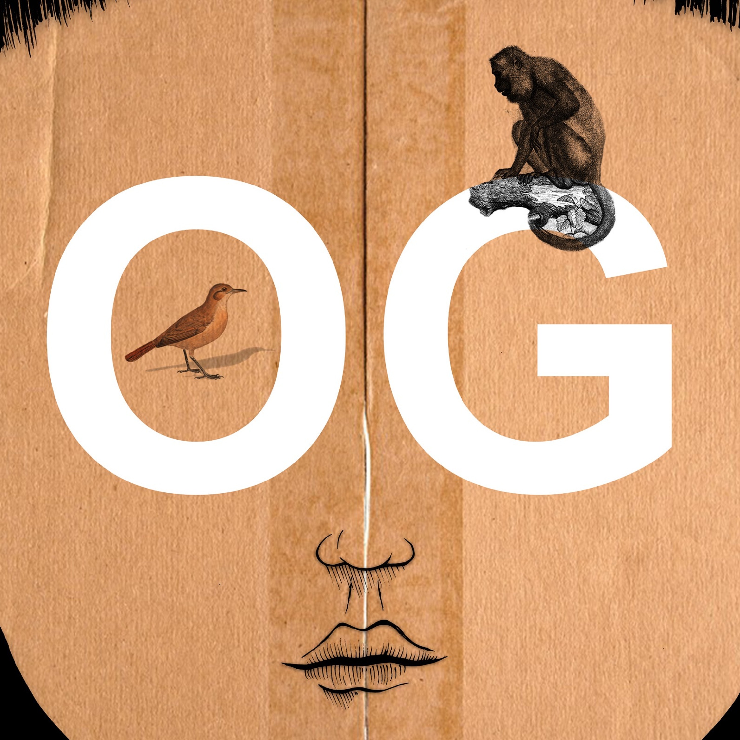 Leser søker bok - Podkaster