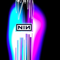 NIN set mixed by Adam3